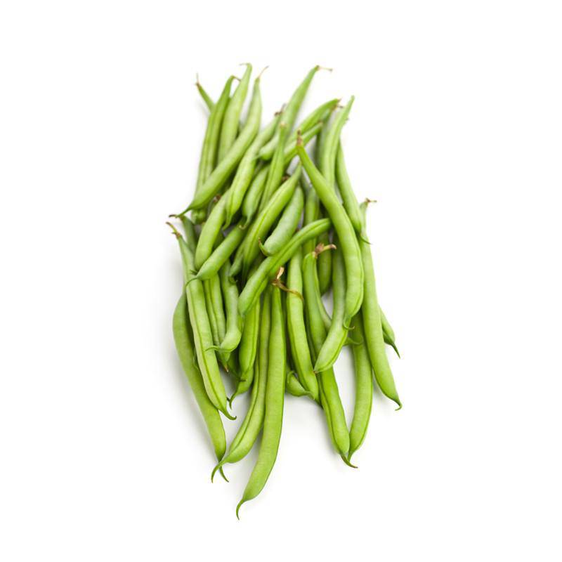 Beans, Kentucky Wonder Pole Bean Heirloom Seed Packets: 3 ¼" x 4 ½"
