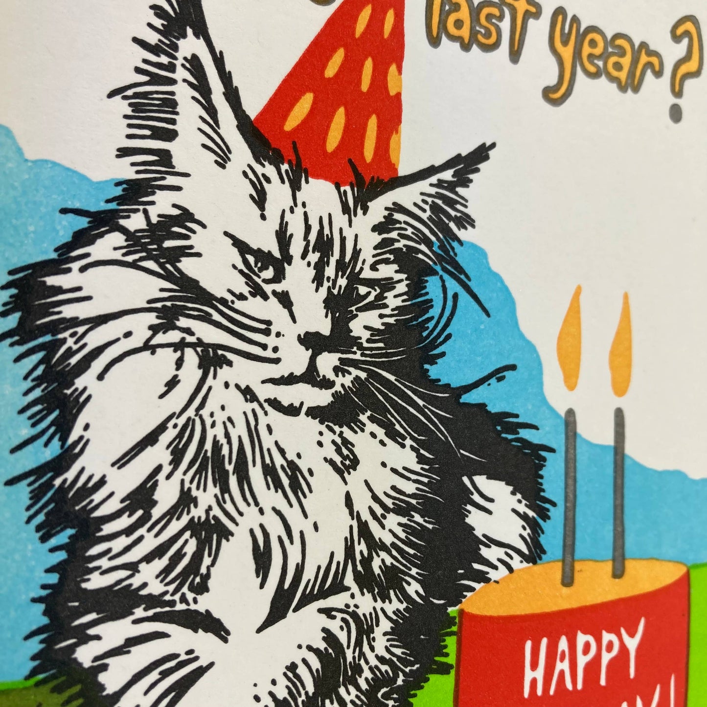 Birthday cat. Not so excited.