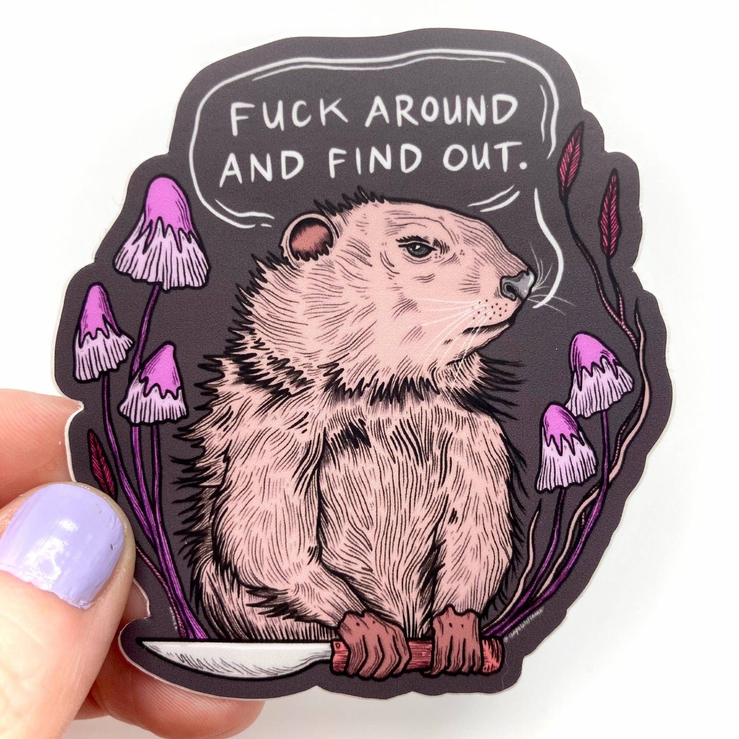 Find Out Groundhog Vinyl Sticker