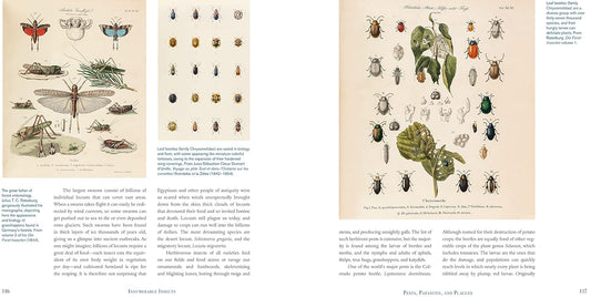 Illustrated book pages with various insects and plants on a white background