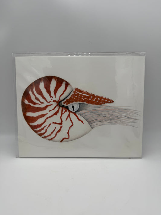 Nautilus 8x10 Print