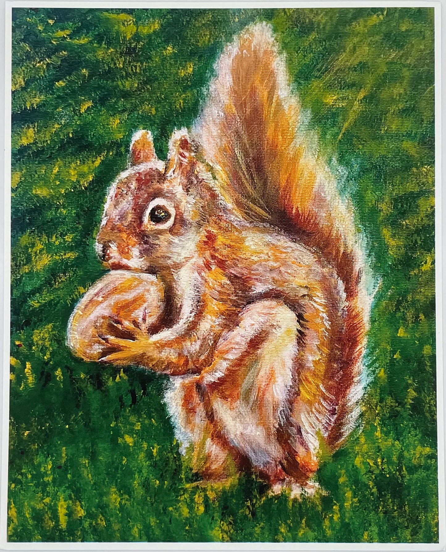 Nutty Squirrel Print