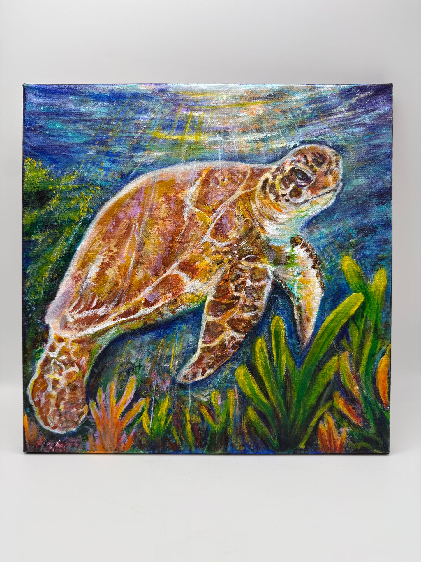 Jennifer Schaller Original Acrylic Paintings