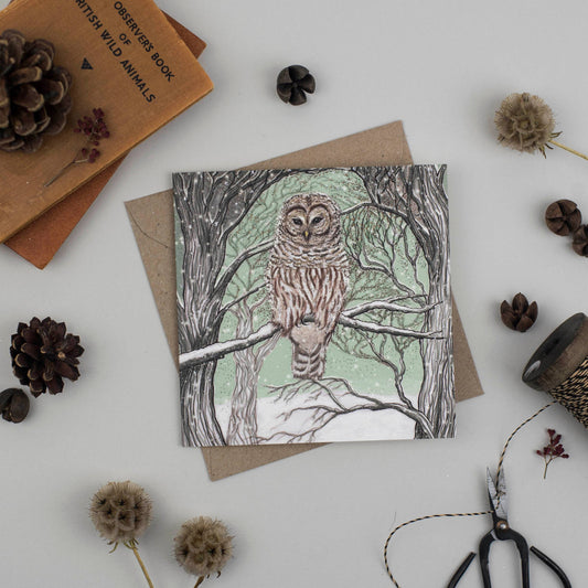 Barred Owl Greeting Card