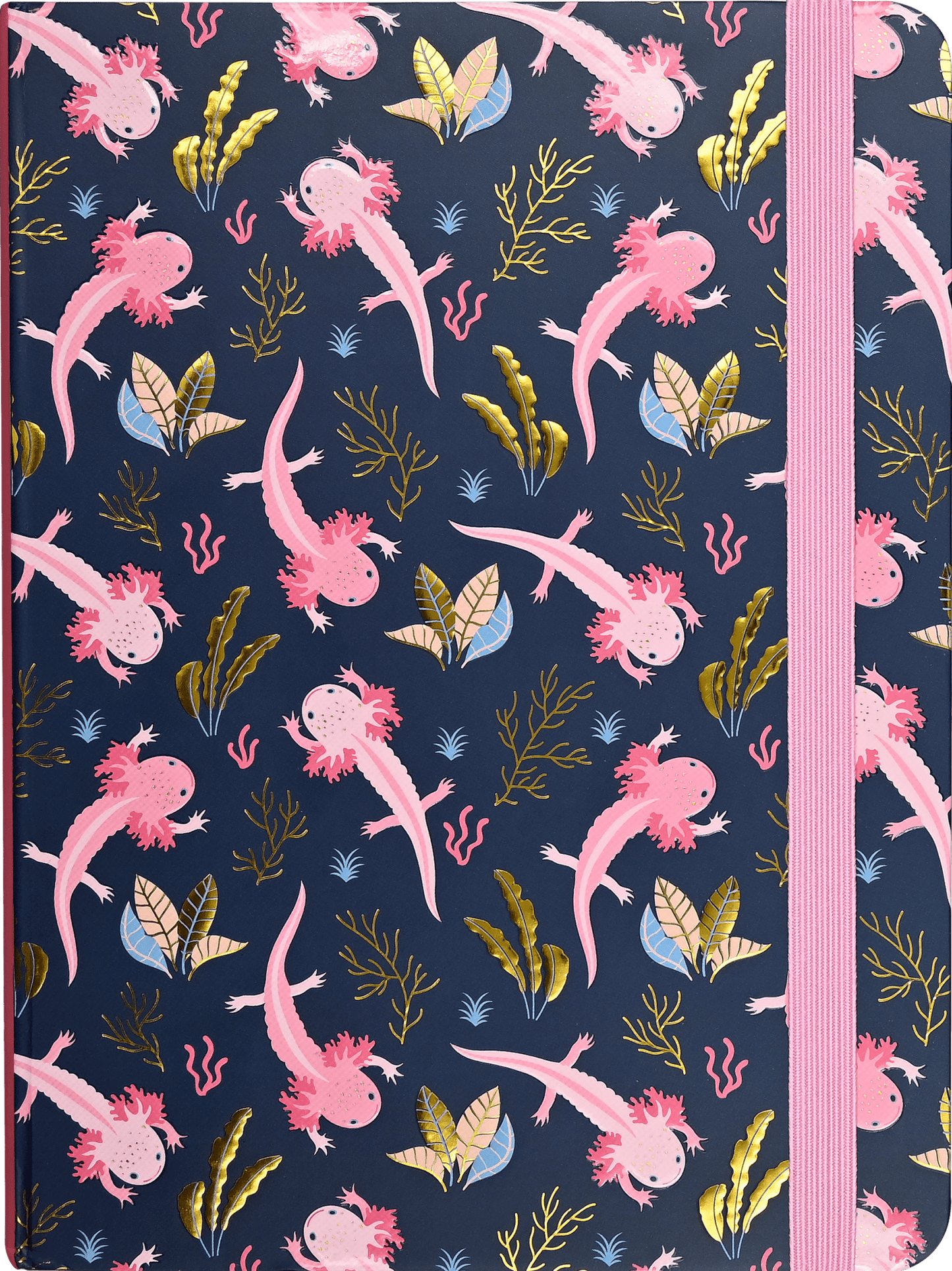 Axolotls Journal - The Regal Find