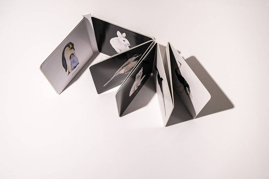 Baby's Black and White Contrast Book - The Regal Find