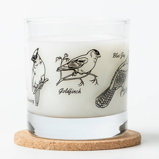 Birds Rocks Glass | Whiskey Glasses: 1 Glass - The Regal Find