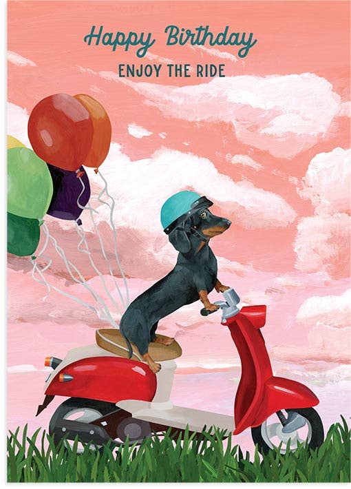 Birthday Scooter - The Regal Find