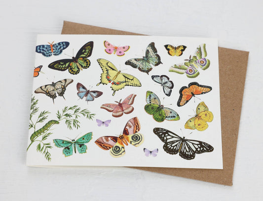 Butterflies and Moths Card - The Regal Find