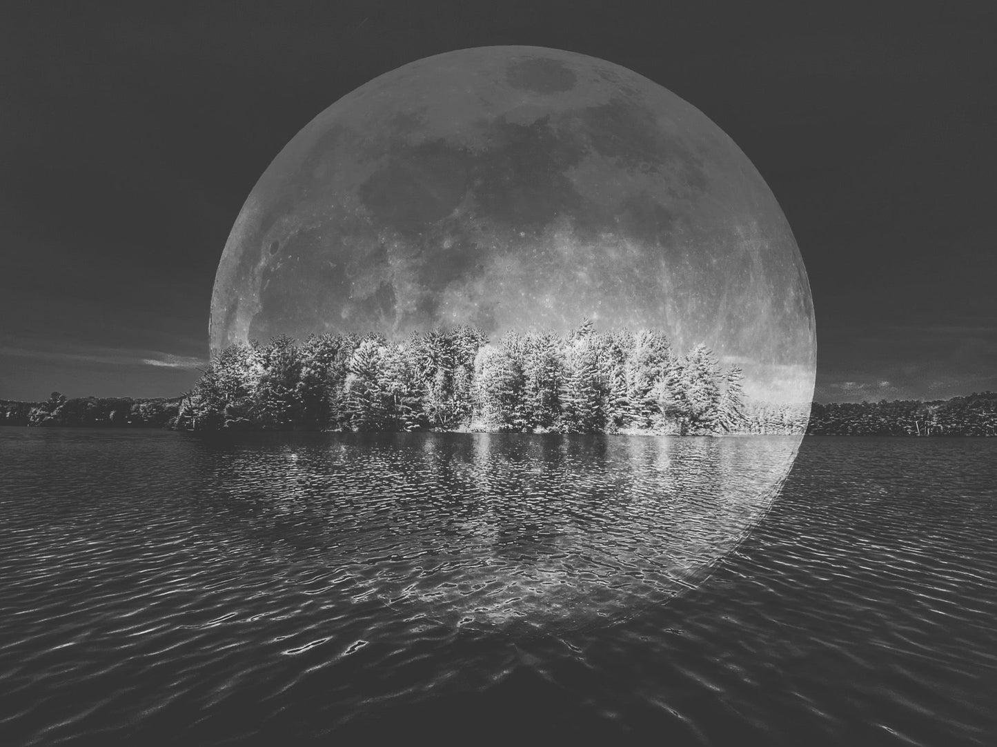B&W Moon over Island - The Regal Find