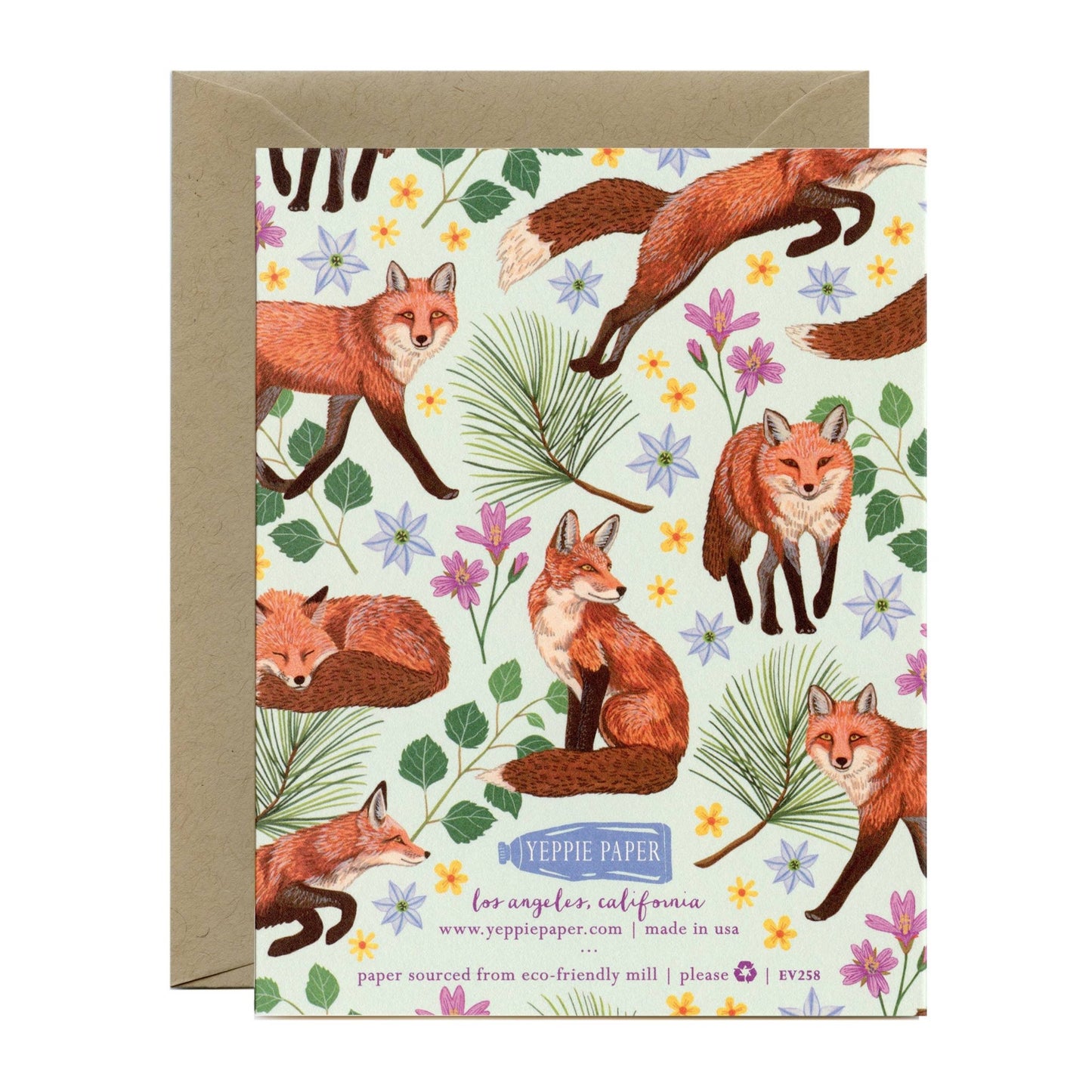 Forest Animals Everyday Stationery Cards - Variety Boxed Set - The Regal Find
