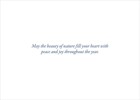 Fox and Birches Deluxe Boxed Holiday Cards - The Regal Find