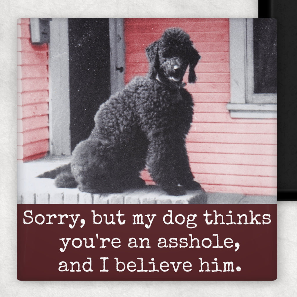 Funny Magnet. Sorry, But My Dog Thinks You're An Asshole... - The Regal Find