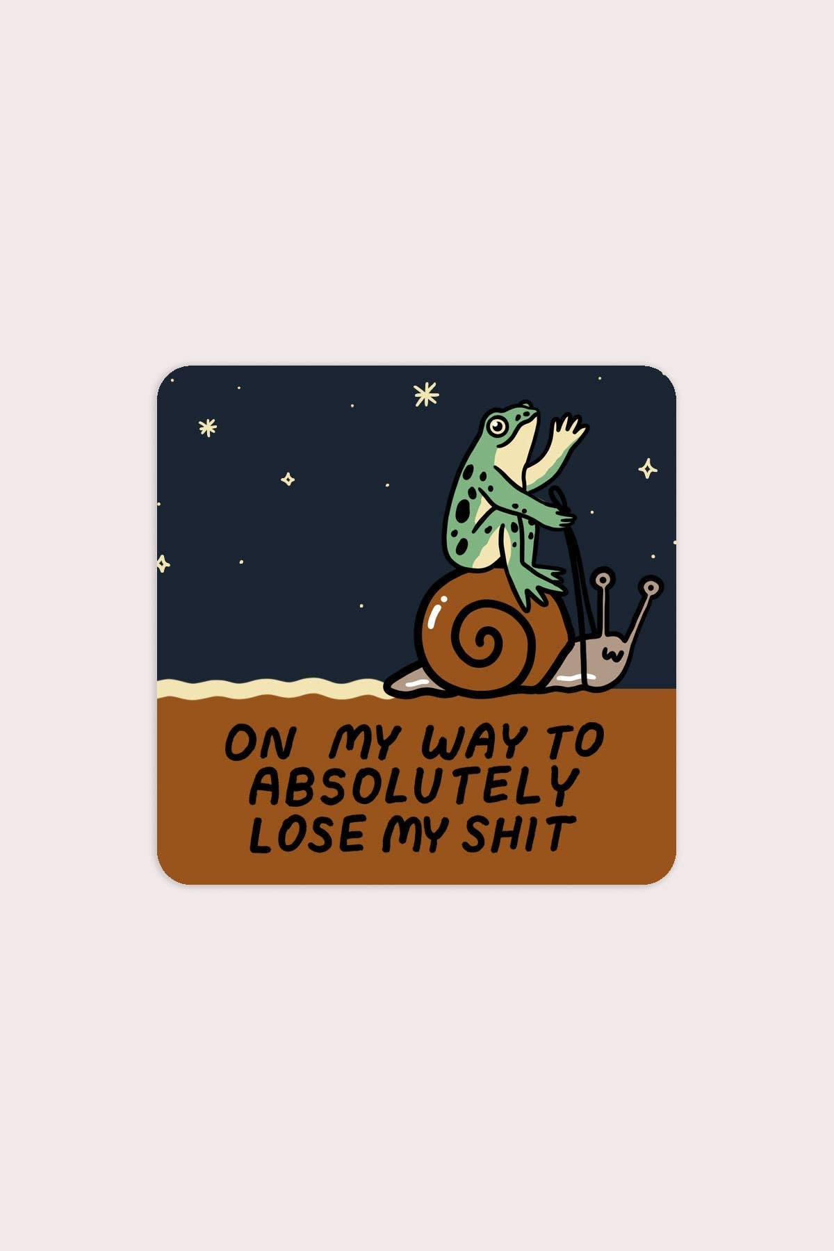 Lose My Shit Vinyl Sticker - The Regal Find