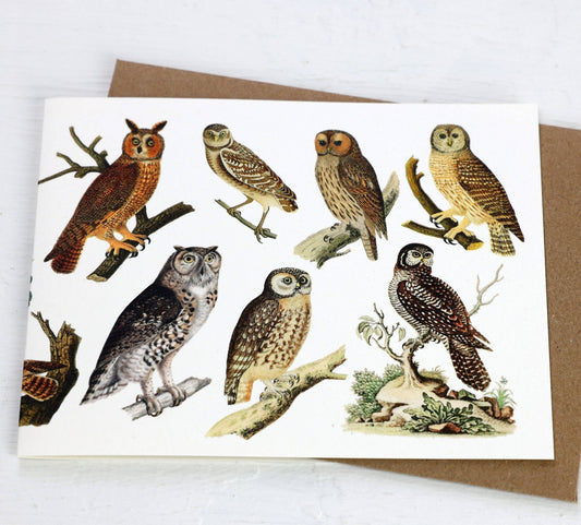 Owls Card - The Regal Find