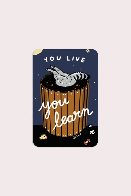 You Live You Learn Vinyl Sticker - The Regal Find