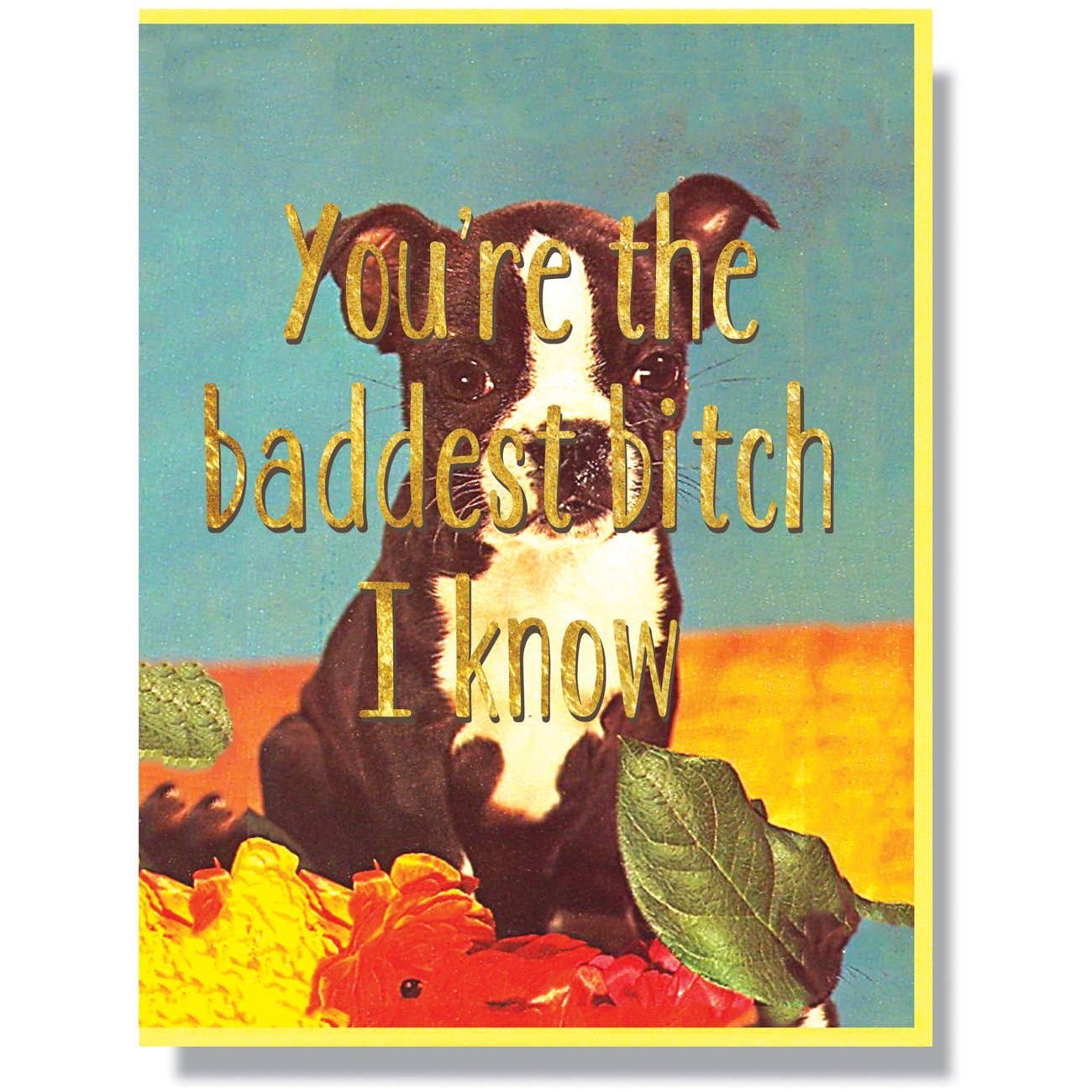 You're the baddest bitch I know Card - The Regal Find