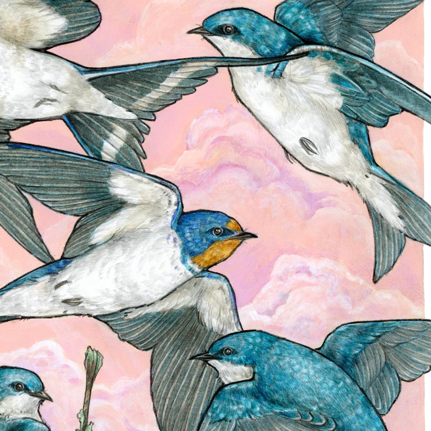 A Flight of Swallows - Archival Print: 8x10" - The Regal Find