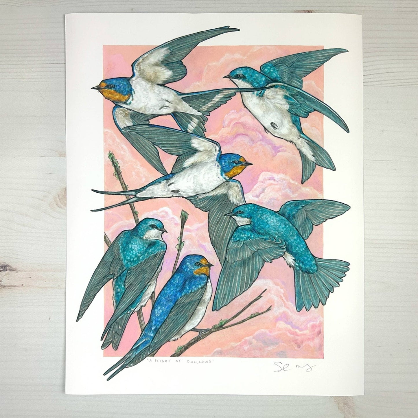 A Flight of Swallows - Archival Print: 8x10" - The Regal Find