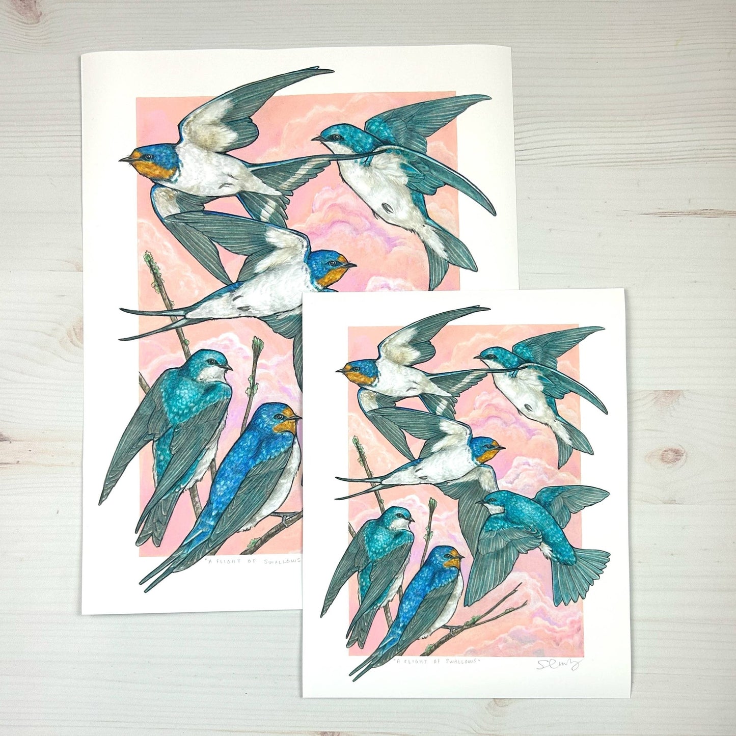 A Flight of Swallows - Archival Print: 8x10" - The Regal Find