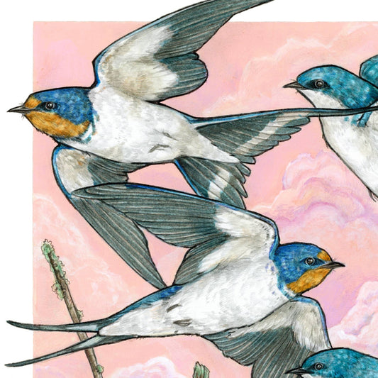 A Flight of Swallows - Archival Print: 8x10" - The Regal Find