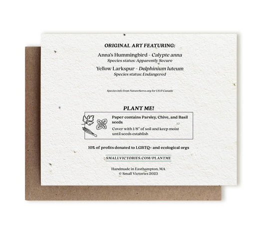 Anna's Hummingbird & Yellow Larkspur Plantable Herb Card: No Sleeves - The Regal Find