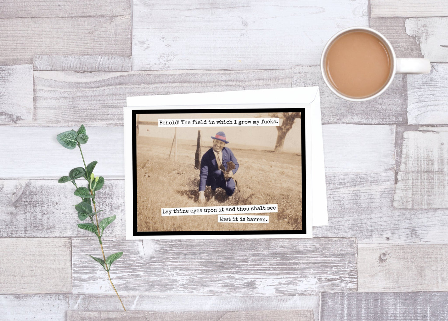 Behold! The Field In Which I Grow My Fucks... - The Regal Find