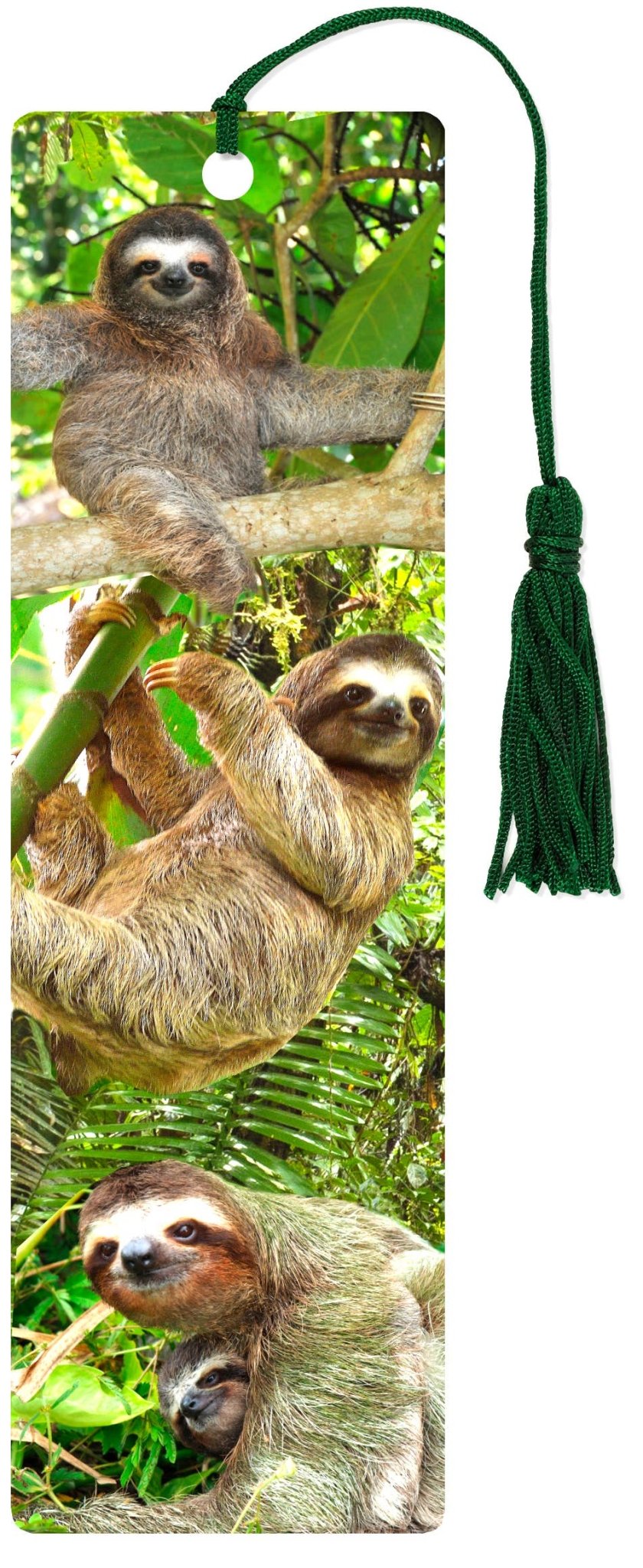 Sloths 3-D Bookmark - The Regal Find