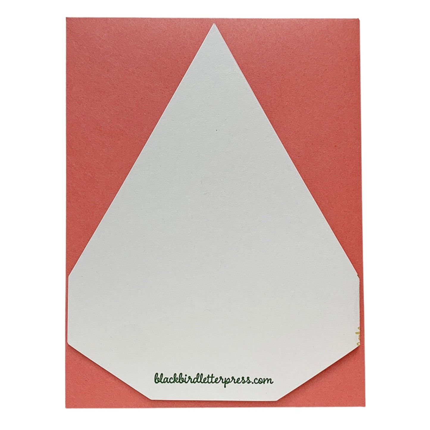 Terrarium Birthday Card - The Regal Find