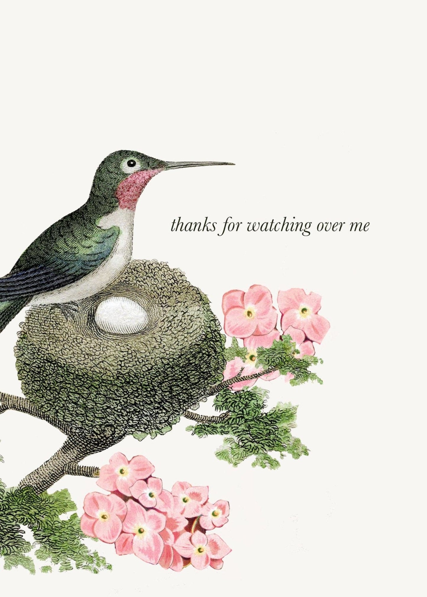 Thanks for watching over me - The Regal Find