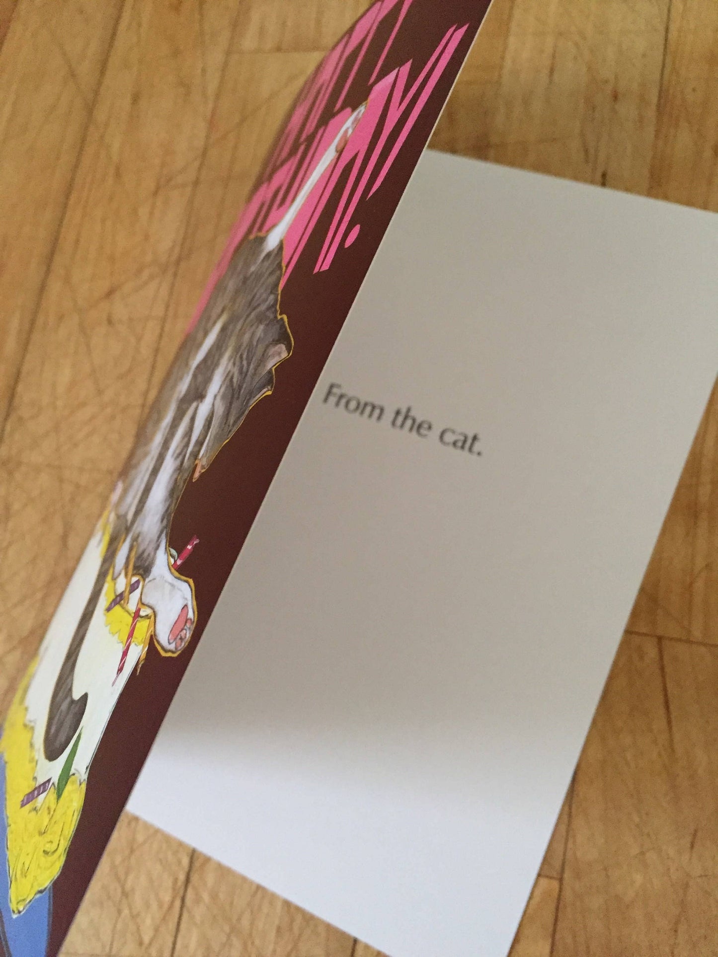 Bad Cat Birthday Card!