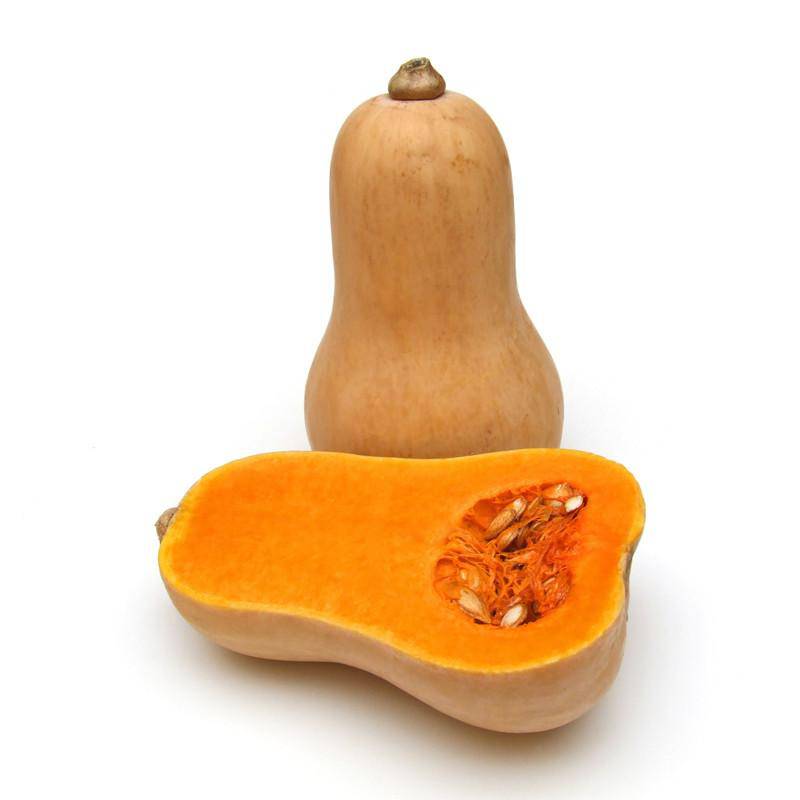 Squash, Butternut Heirloom Garden Seed Packets: Squash, Butternut Waltham Seed Packets
