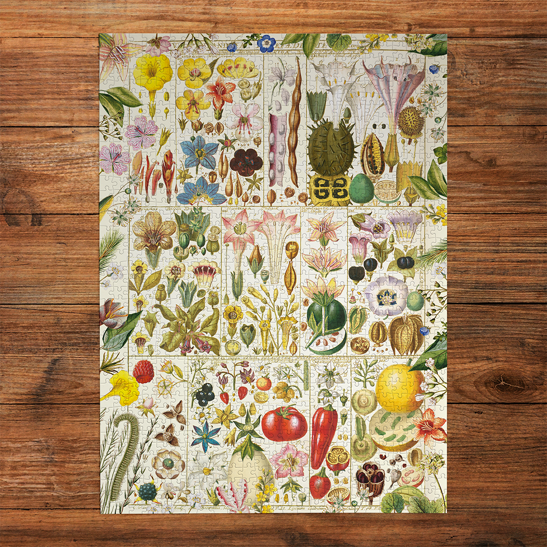 RHS Botanical Bliss 1000 Piece Puzzle