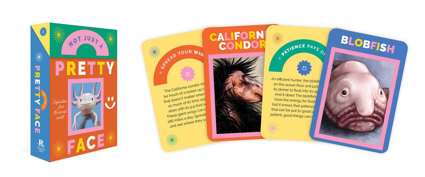 Set of colorful cards with images and text on a white background