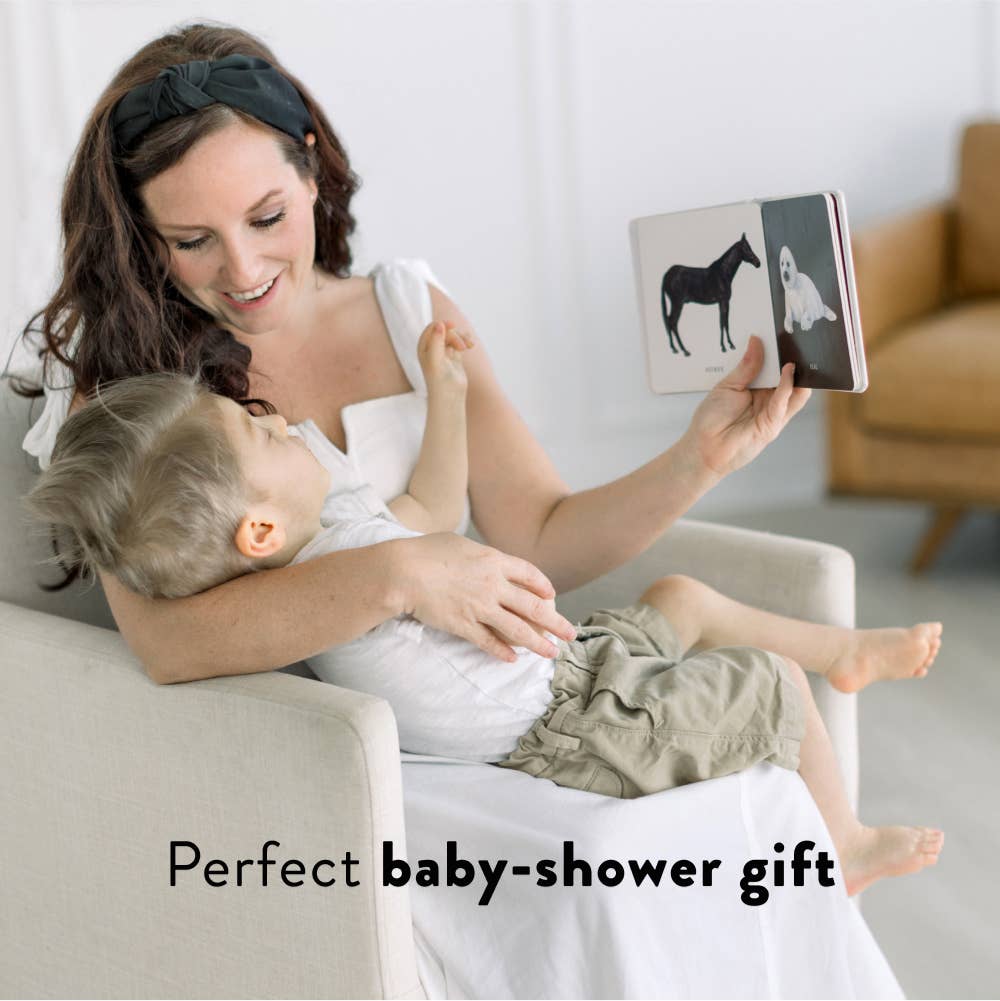 Baby's Black And White Book