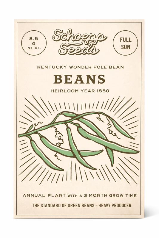 Beans, Kentucky Wonder Pole Bean Heirloom Seed Packets: 3 ¼" x 4 ½"