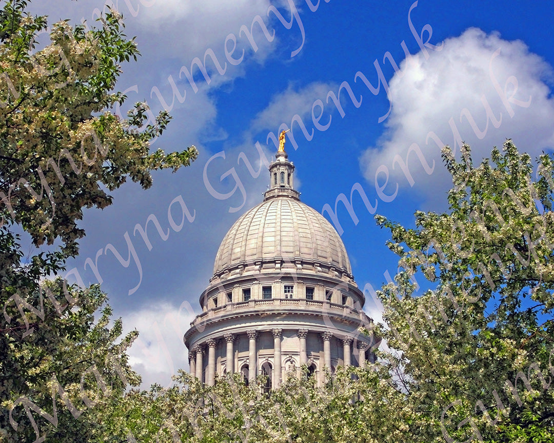 Madison Capitol with Tree Border