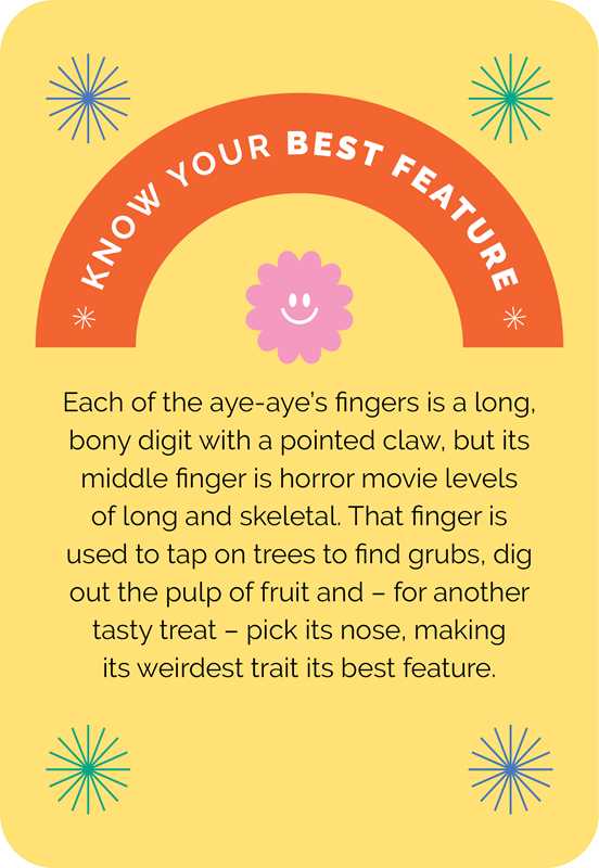 Card with text about aye-aye's fingers and a colorful design on a yellow background