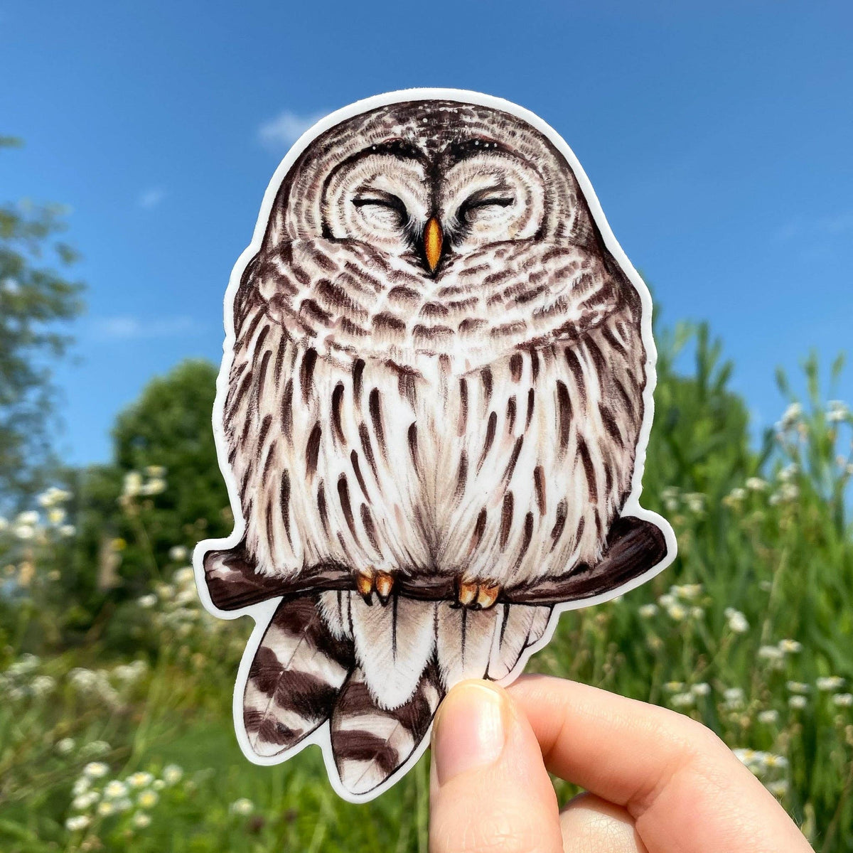 Cozy Barred Owl Weatherproof Vinyl Sticker