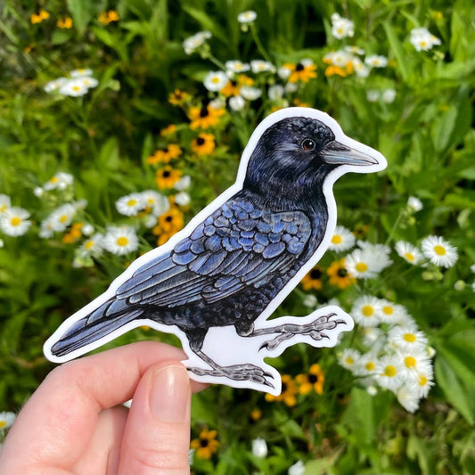 American Crow Sticker
