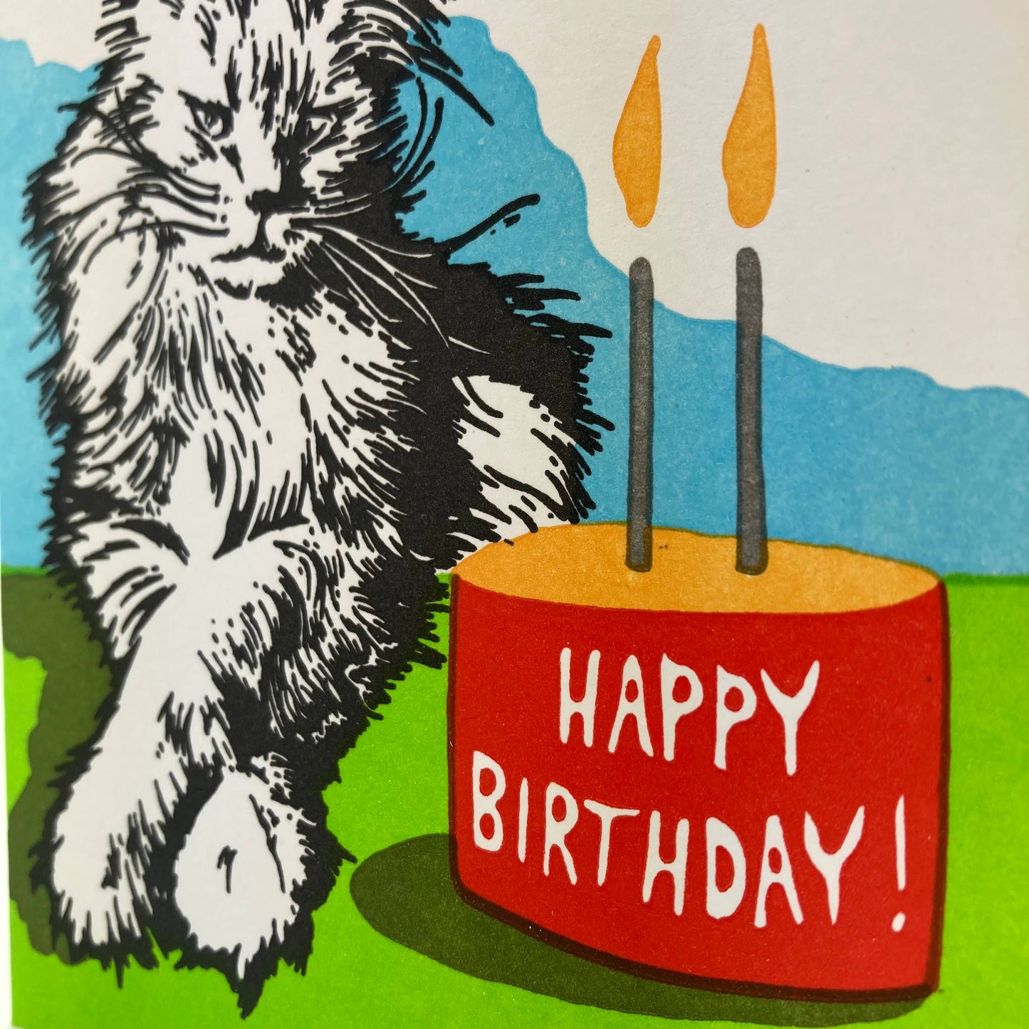 Birthday cat. Not so excited.