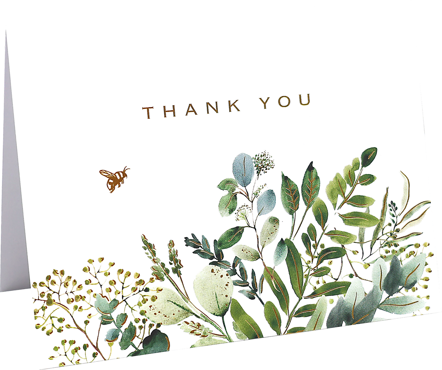 Eucalyptus Premium Thank You Note Cards