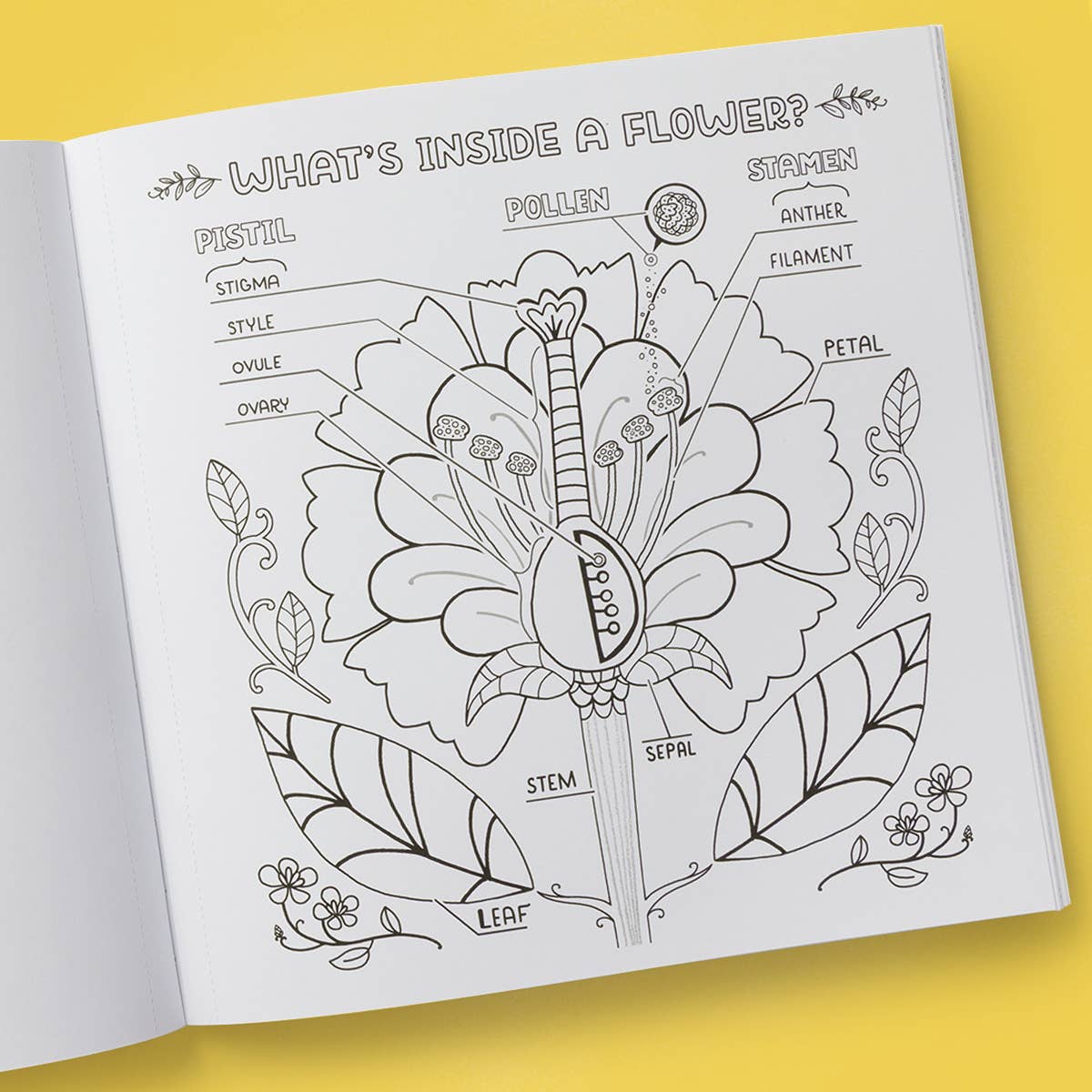 What's Inside Garden Coloring