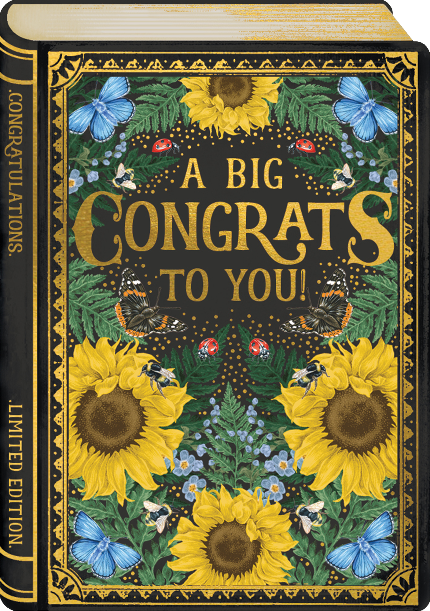 STORYBOOK CONGRATS GREETING CARD ART FILE