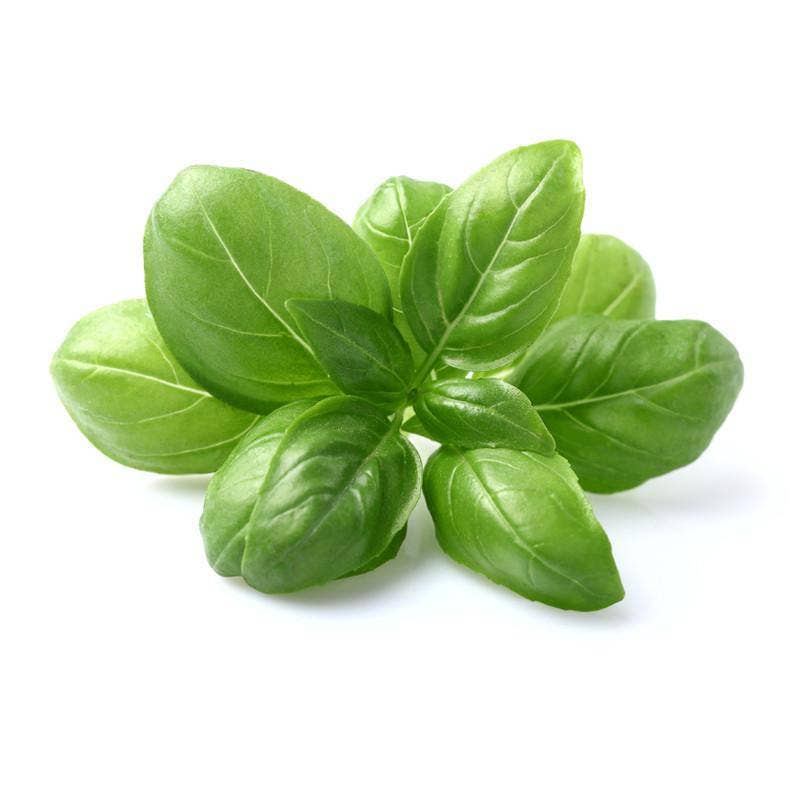 Basil Heirloom Seed Packets, Genovese Sweet Herb: Basil, Genovese Sweet Seed Packets