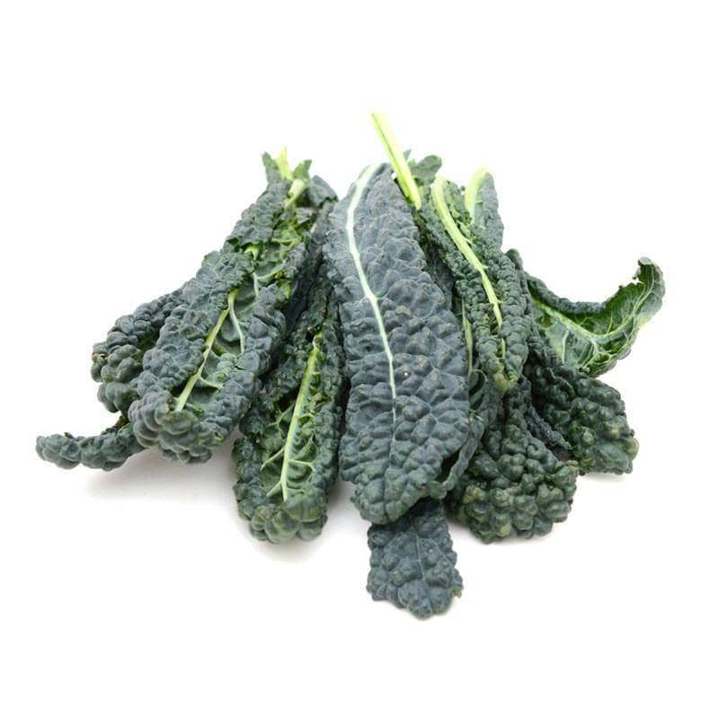 Kale, Lacinato Heirloom Garden Seed Packets: Kale, Lacinato Seed Packets