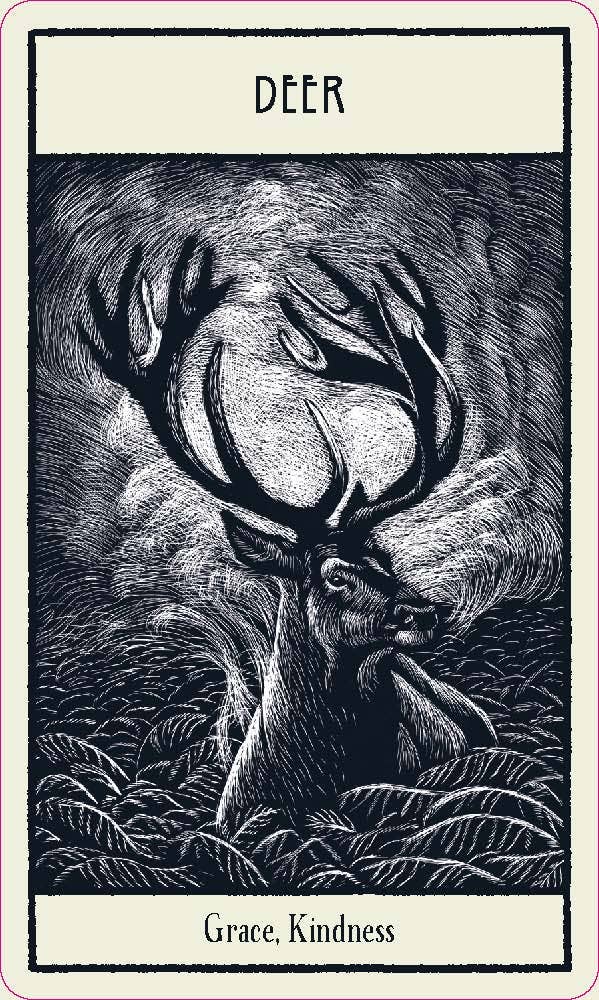 Illustration of a deer with large antlers in a natural setting, labeled 'Deer' and 'Grace, Kindness'.