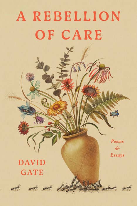 A Rebellion Of Care
