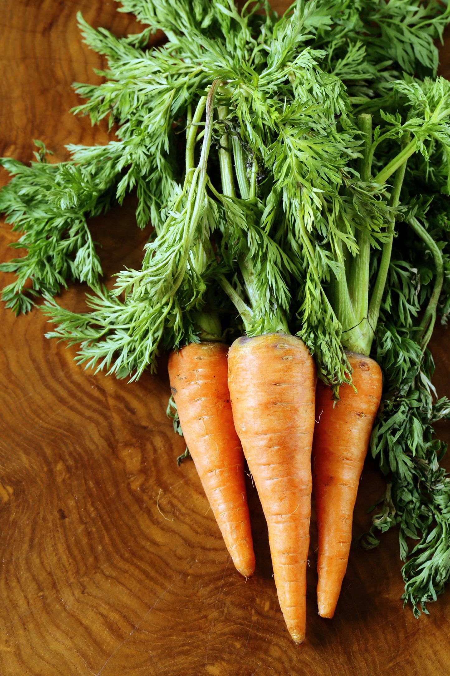 Carrot, Half Long Heirloom Garden Seed Packets