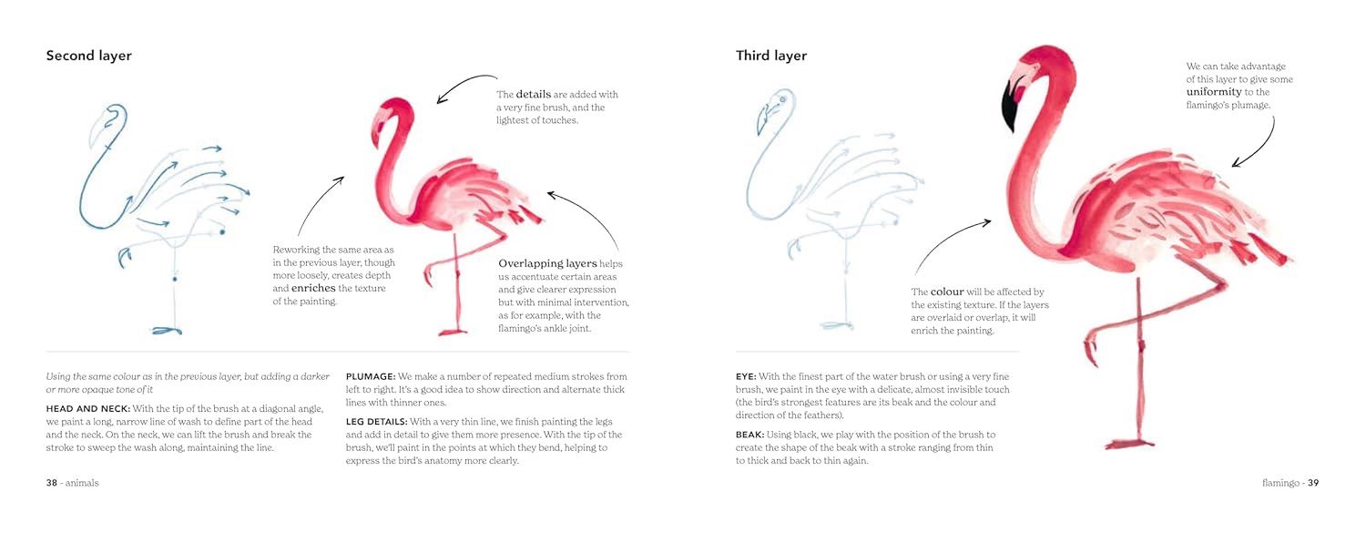 Step-by-step illustration of drawing a flamingo with labeled parts on a white background.